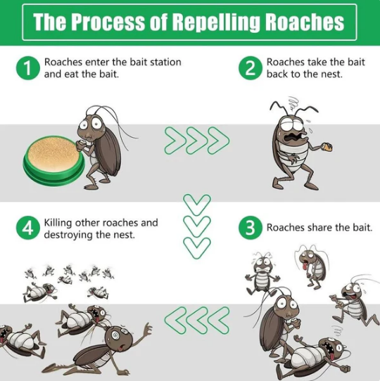 Cockroach Killer  Gel (Pack of 24pc)