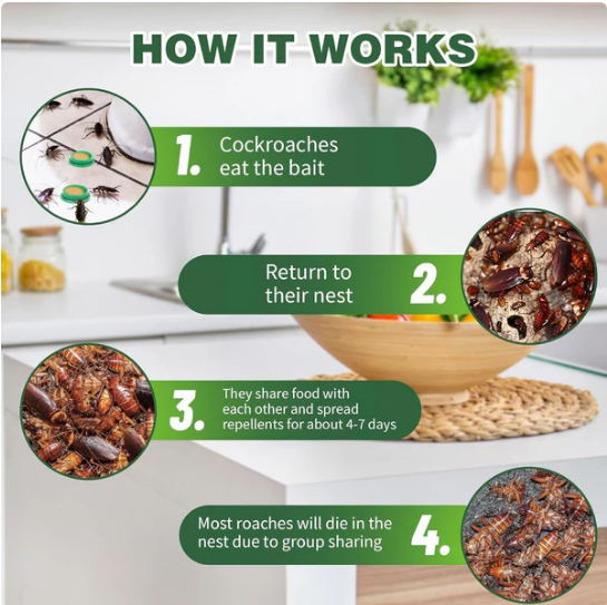 Cockroach Killer  Gel (Pack of 24pc)